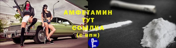 гидра Абаза